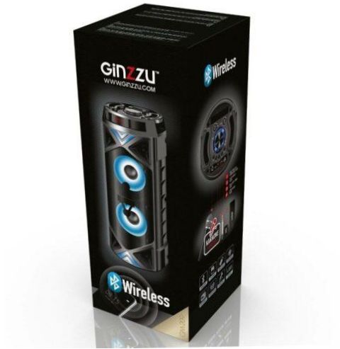 Ginzzu GM-209, 50 W