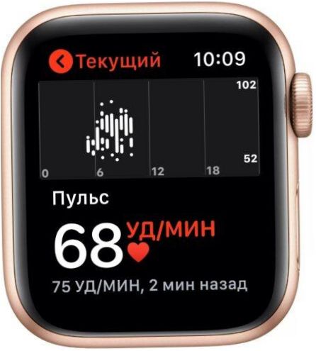 Apple Watch SE smartwatch