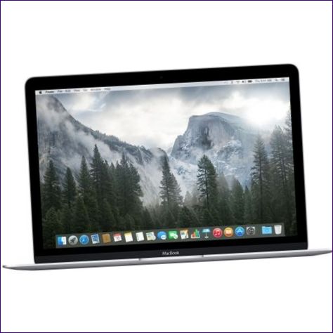 Apple MacBook Early 2015