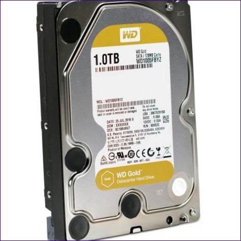 Western Digital WD Gold 1 TB (WD1005FBYZ)