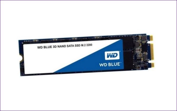 Western Digital WD BLUE 3D NAND SATA SSD 500 GB (WDS500G2B0B)