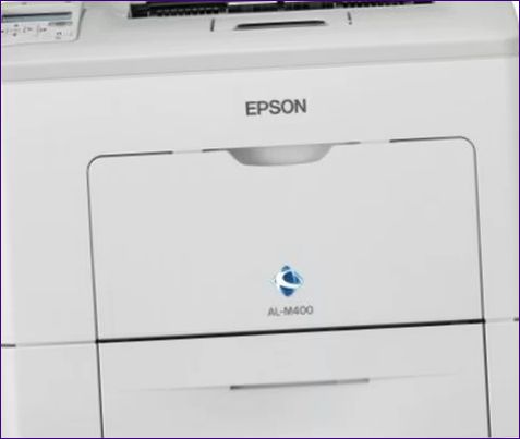 Epson WorkForce AL-M300DN