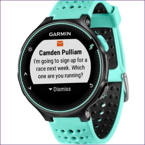 Garmin Forerunner 235