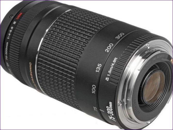 Canon EF 75-300mm f/4-5.6 III USM