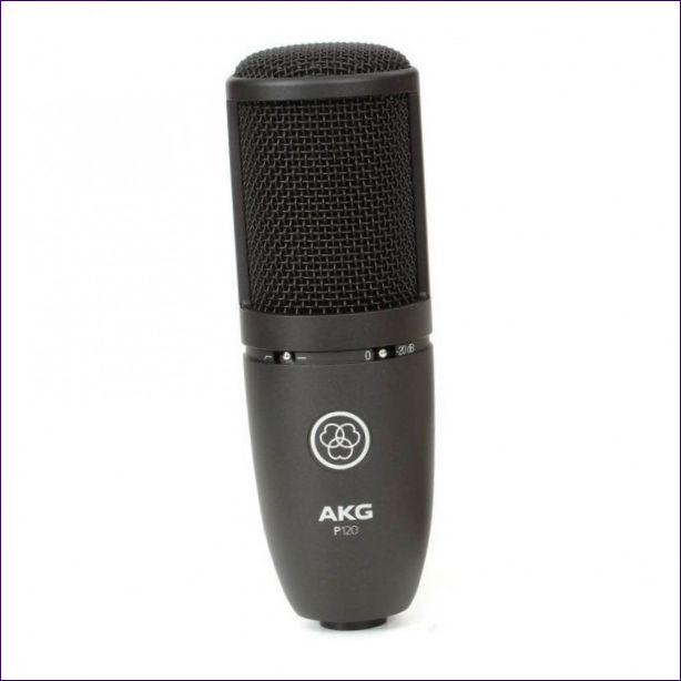 AKG P120