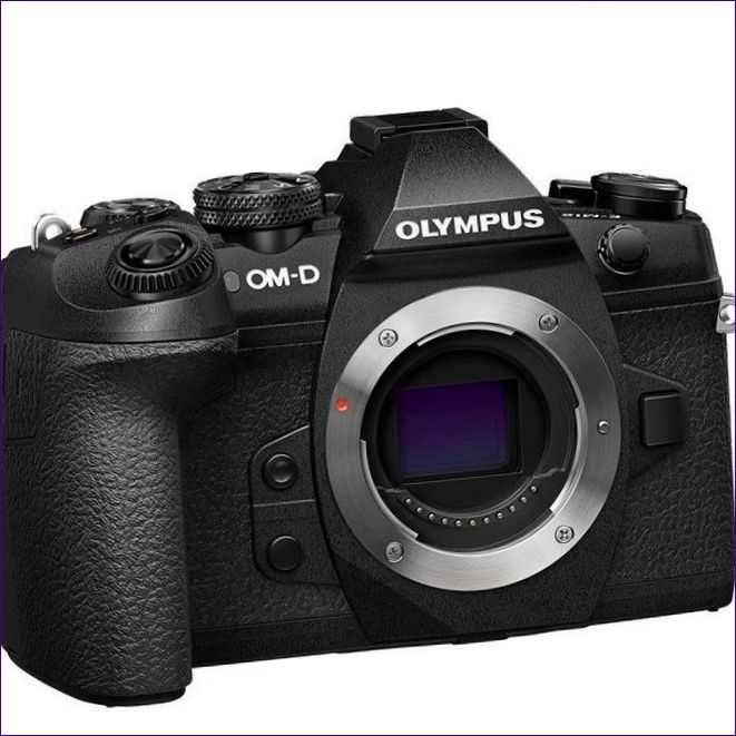 Olympus OM-D E-M1 Mark II