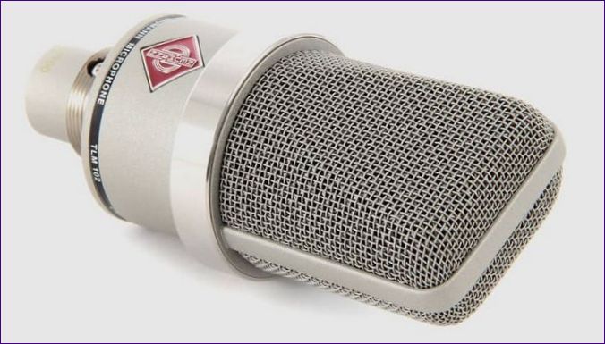 Neumann TLM-102