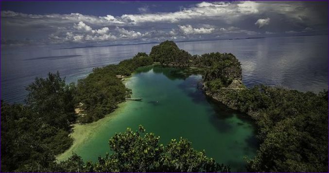 Nya Guinea (Papua Nya Guinea, Indonesien)