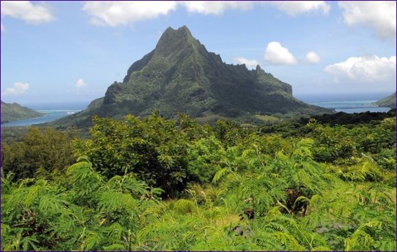 Mouaroa (Franska Polynesien)