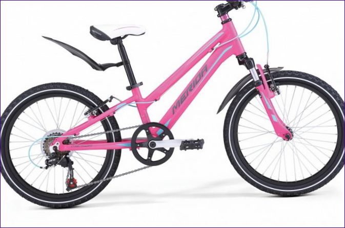 Merida Matts J20 Girl (2019)