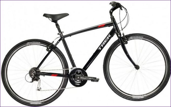 TREK Verve 3 (2018).jpg