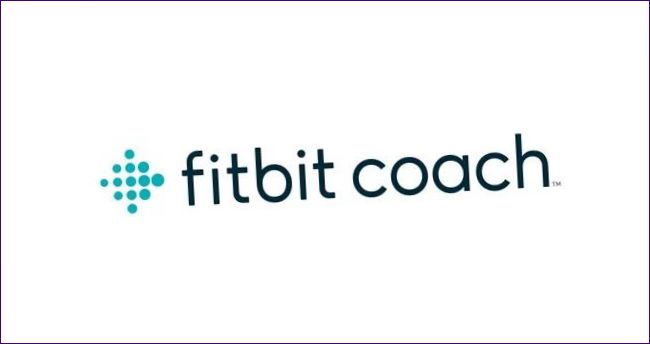 Fitbit Coach