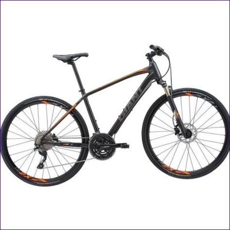 Giant Roam 0 Disc (2018)