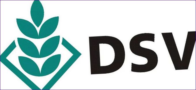 DSV