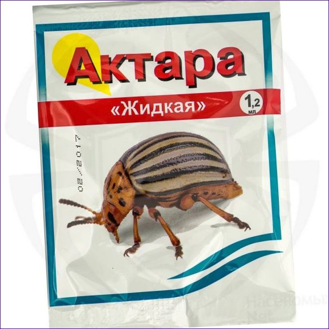 Actara