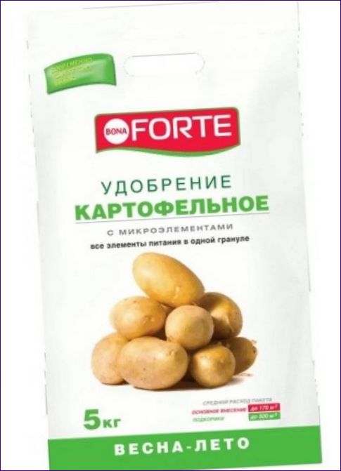 Bona Forte potatis