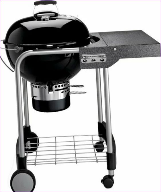 Weber Performer Original GBS