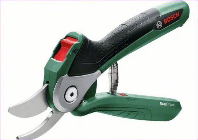 BOSCH EasyPrune