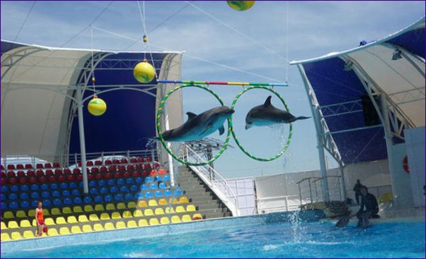 Koktebel Dolphinarium