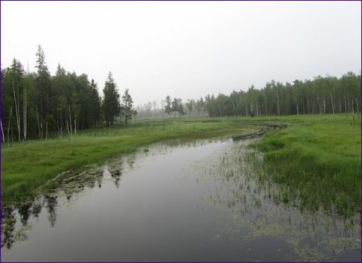 Park Zwierzyniec