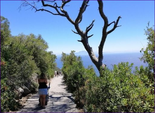 Naturreservat i Gibraltar