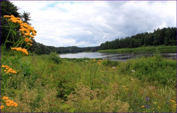 Daugavas Loki naturpark