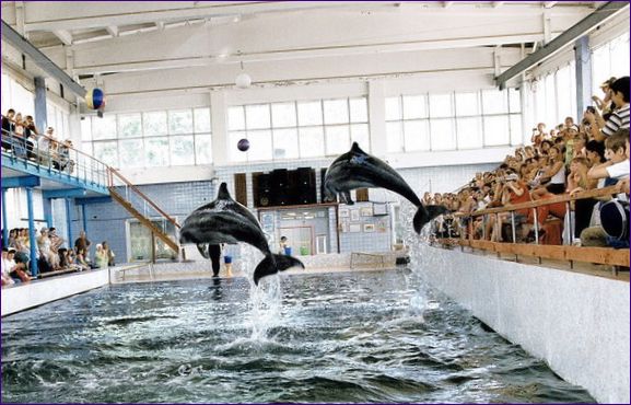 Karadag Dolphinarium