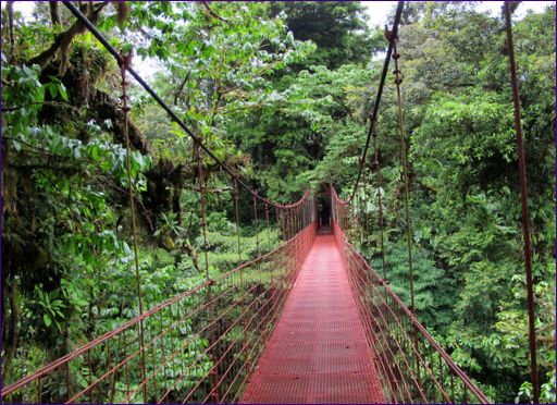 Monteverde nationalpark