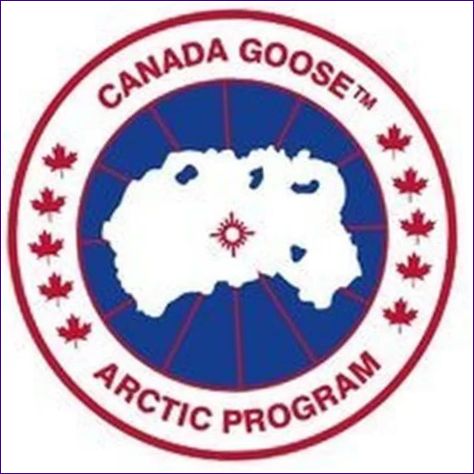 Canada Goose