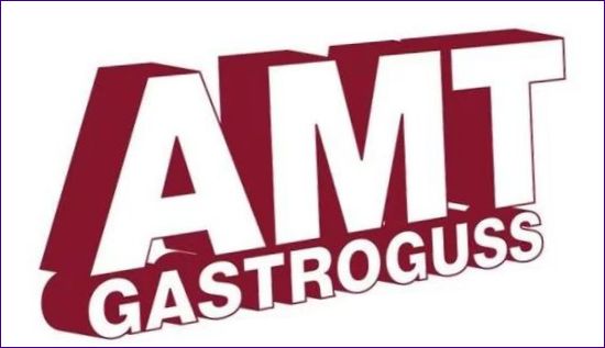 AMT Gastroguss