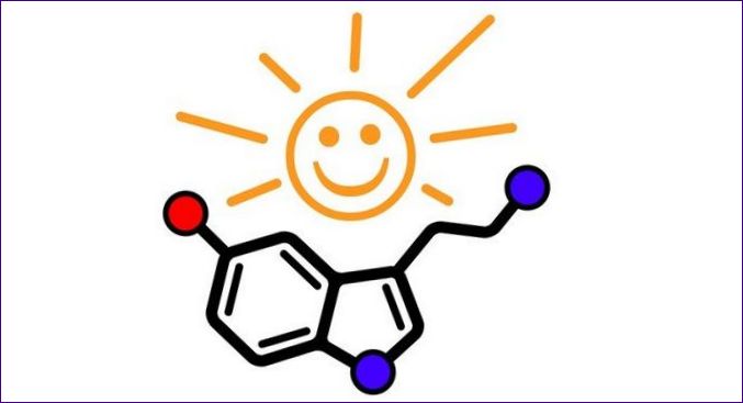 Vad serotonin är