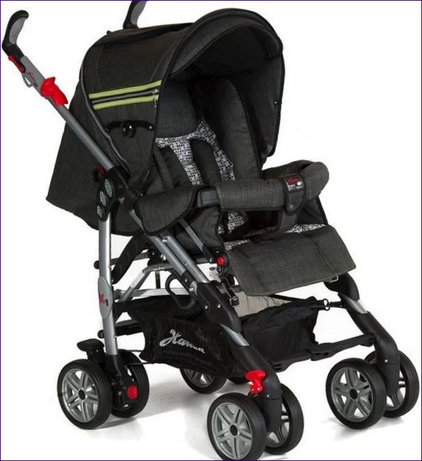 Hartan Buggy iX1