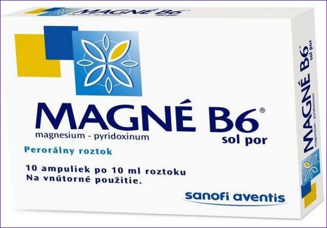 Magne B6