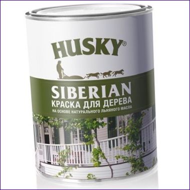 HUSKY SIBERIA