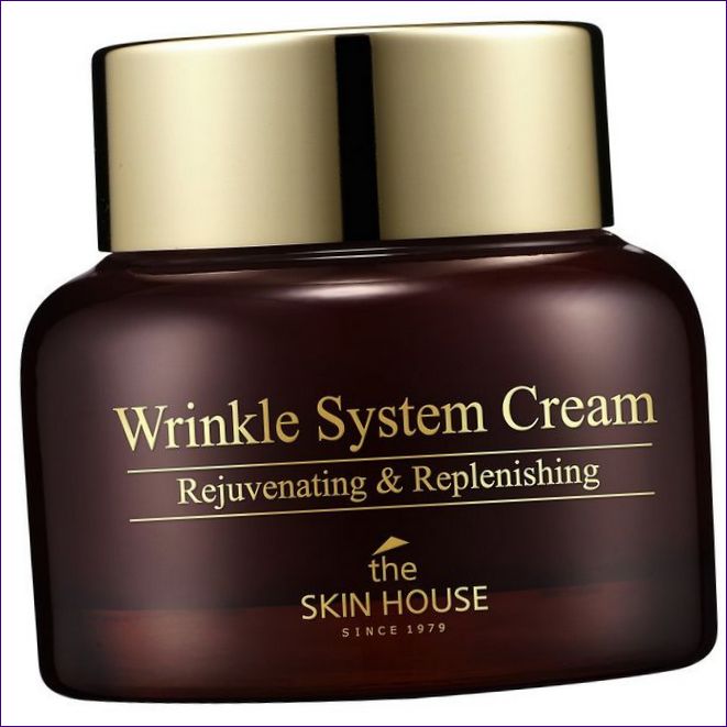 THE SKIN HOUSE Wrinkle System