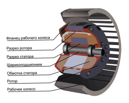 Radial