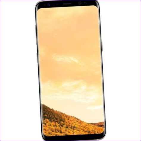 Samsung Galaxy S8+ 128GB