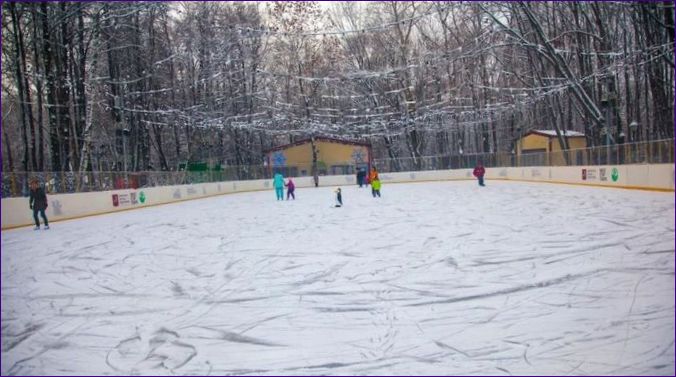 METELIKA skridskobana i BABUSKINS PARK